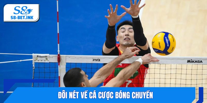 Đôi nét về cá cược bóng chuyền