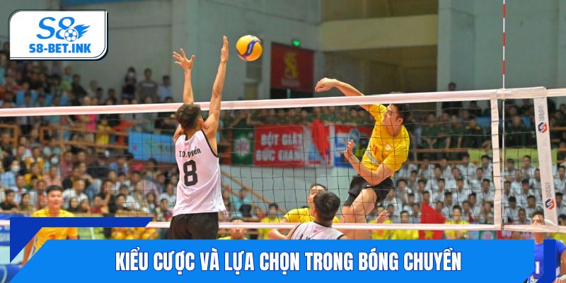 Kiểu cược và lựa chọn trong bóng chuyền