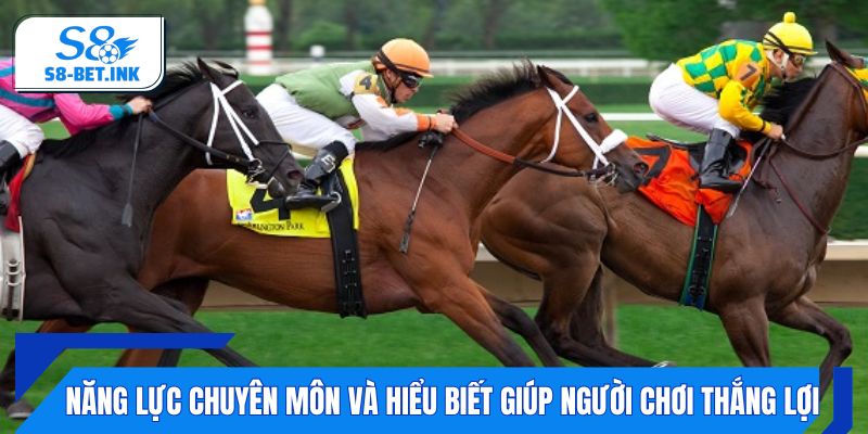 Năng lực chuyên môn và hiểu biết giúp người chơi thắng lợi