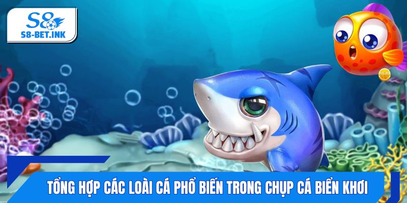 Tổng hợp các loài cá phổ biến trong chụp cá Biển Khơi
